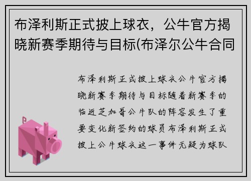 布泽利斯正式披上球衣，公牛官方揭晓新赛季期待与目标(布泽尔公牛合同)