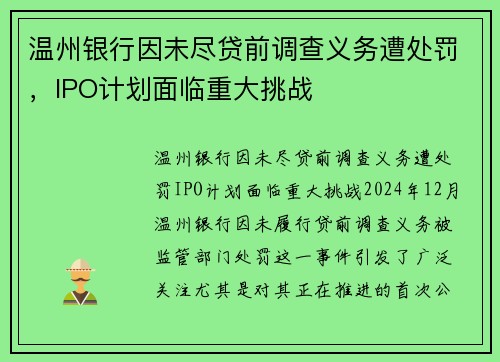 温州银行因未尽贷前调查义务遭处罚，IPO计划面临重大挑战